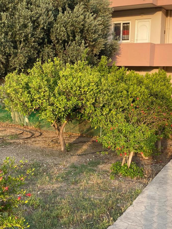 شقة Fotis House أفانتو المظهر الخارجي الصورة